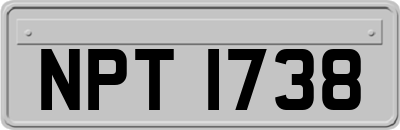 NPT1738