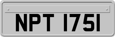 NPT1751