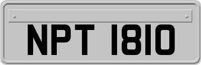 NPT1810