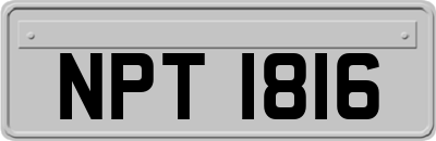 NPT1816