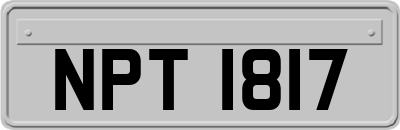 NPT1817