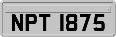NPT1875