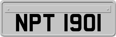 NPT1901
