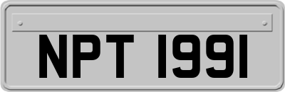 NPT1991