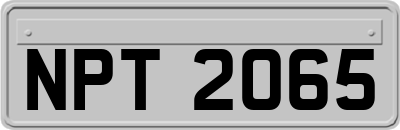 NPT2065