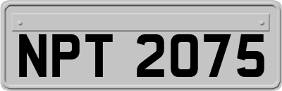 NPT2075
