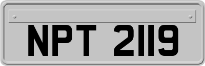 NPT2119