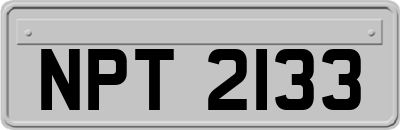 NPT2133