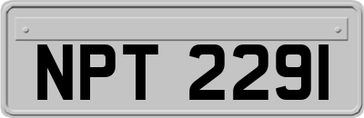 NPT2291