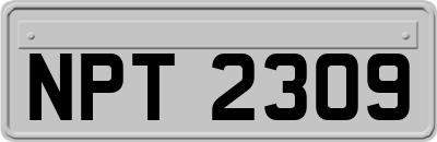 NPT2309