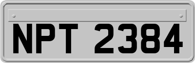 NPT2384
