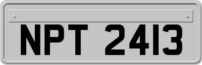 NPT2413