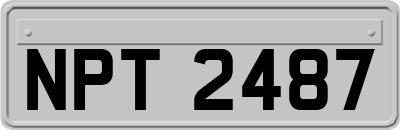 NPT2487