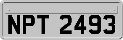 NPT2493