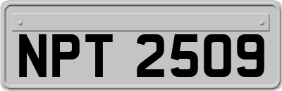 NPT2509