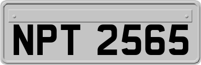 NPT2565