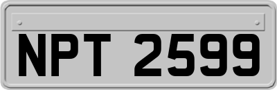NPT2599