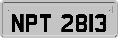NPT2813