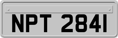 NPT2841