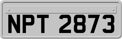 NPT2873