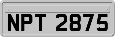 NPT2875