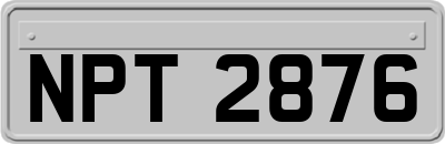 NPT2876