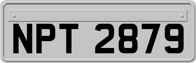 NPT2879