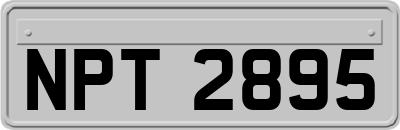 NPT2895