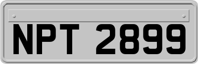 NPT2899