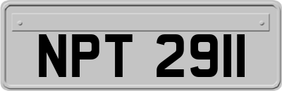 NPT2911