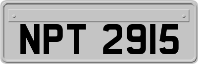 NPT2915