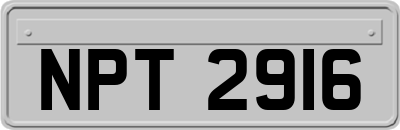 NPT2916