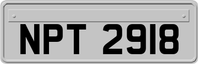 NPT2918