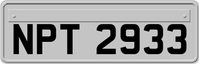 NPT2933