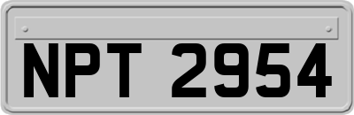 NPT2954