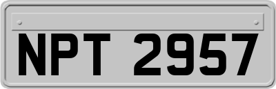NPT2957