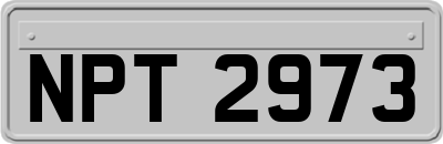 NPT2973