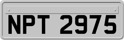 NPT2975