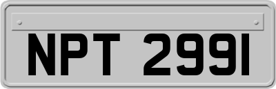 NPT2991