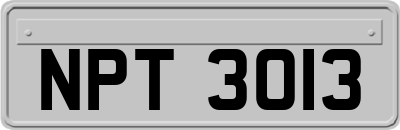 NPT3013
