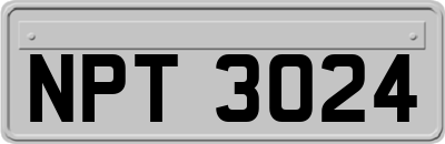 NPT3024