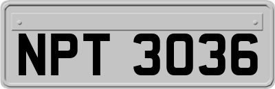 NPT3036