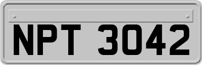 NPT3042