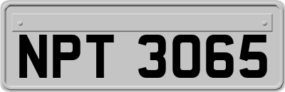 NPT3065