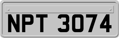 NPT3074