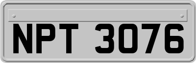 NPT3076
