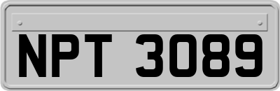 NPT3089
