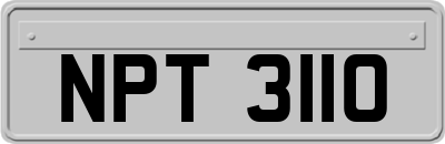 NPT3110