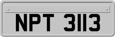 NPT3113