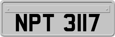 NPT3117